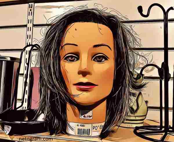 The netogram.com museum